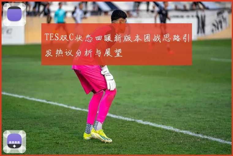 TES双C状态回暖新版本团战思路引发热议分析与展望
